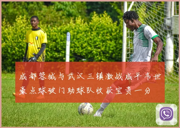 成都蓉城与武汉三镇激战成平韦世豪点球破门助球队收获宝贵一分