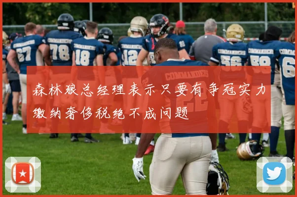 森林狼总经理表示只要有争冠实力缴纳奢侈税绝不成问题
