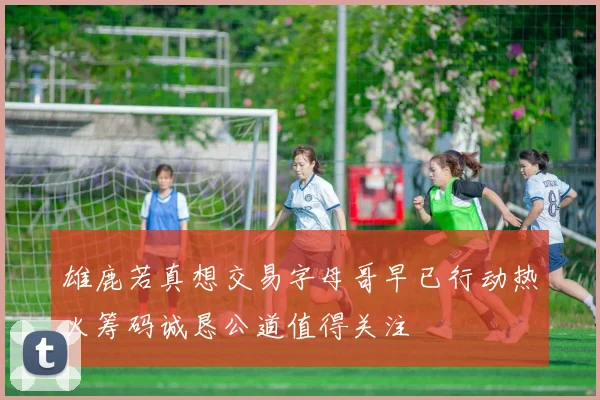 雄鹿若真想交易字母哥早已行动热火筹码诚恳公道值得关注