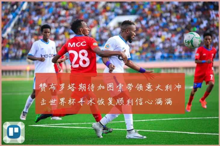 赞布罗塔期待加图索带领意大利冲击世界杯手术恢复顺利信心满满